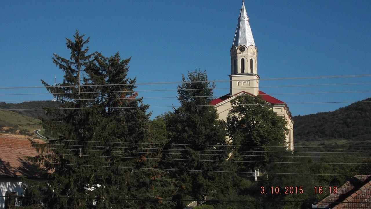 Pensiunea Aurelia Siria Екстериор снимка